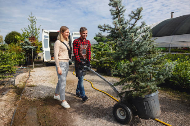 Best Seasonal Cleanup (Spring/Fall)  in Selma, AL